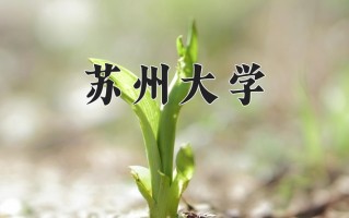 苏州大学一年学费多少钱及各专业的收费标准(2025参考）