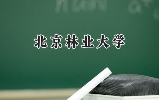 2024北京林业大学录取分数线：天津最低603分