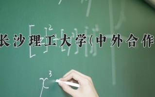 2024长沙理工大学(中外合作)录取分数线，重庆录取最低分497