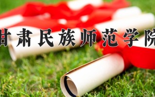 2024甘肃民族师范学院录取分数线，重庆录取最低分488