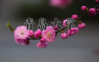 青岛大学一年学费多少钱及各专业的收费标准(2025参考）