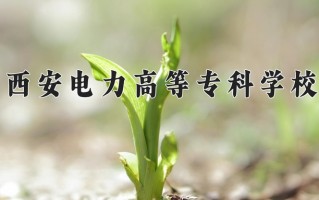2024年西安电力高等专科学校录取分数线，青海最低338分