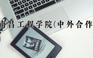 2024南昌工程学院(中外合作)录取分数线，重庆录取最低分482