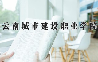云南241分能上什么大学？附2025年可以报考的大学名单