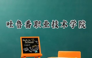 吐鲁番职业技术学院2024在山东录取分数线是多少？最低347分/最高389分