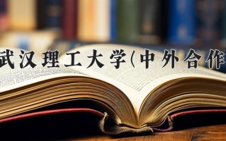 2024年武汉理工大学(中外合作)录取分数线，内蒙古最低556分