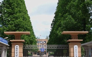 2024年青岛农业大学海都学院录取分数线，河北最低205分
