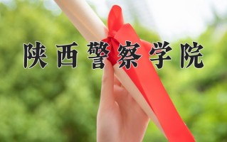 2024年陕西警察学院录取分数线，新疆最低249分