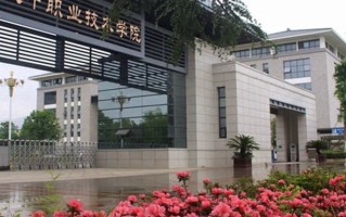 2024年汉中职业技术学院录取分数线，新疆最低237分
