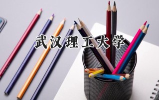 2024武汉理工大学录取分数线：天津最低607分