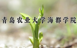 2024青岛农业大学海都学院录取分数线：浙江最低443分
