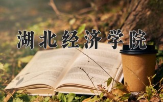 2024湖北经济学院录取分数线：浙江最低492分