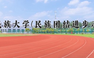 云南529分能上什么大学？附2025年可以报考的大学名单