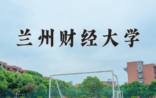 2024兰州财经大学录取分数线，重庆录取最低分496