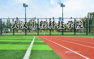 武汉工程科技学院2024在浙江录取分数线是多少？最低359分/最高593分