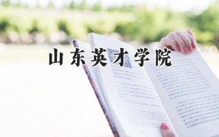 2024山东英才学院录取分数线：河南最低165分