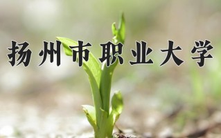 扬州市职业大学学费多少钱一年：2200-6800元/年（2025填报参考）