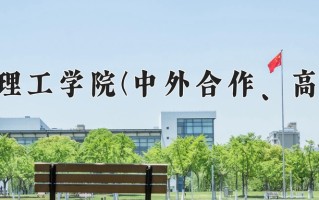 2024年南阳理工学院(中外合作、高收费)录取分数线，新疆最低296分