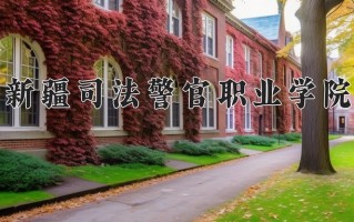 2024年新疆司法警官职业学院录取分数线，新疆最低240分