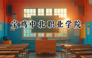 宝鸡中北职业学院2024在青海录取分数线是多少？最低263分/最高306分