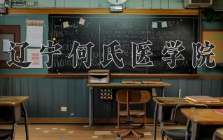 2024年辽宁何氏医学院录取分数线，内蒙古最低291分