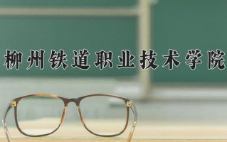 2024柳州铁道职业技术学院录取分数线：浙江最低438分