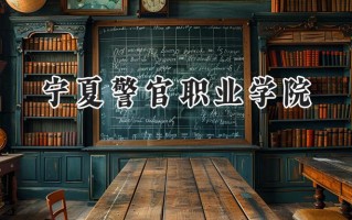2024宁夏警官职业学院录取分数线：陕西最低351分