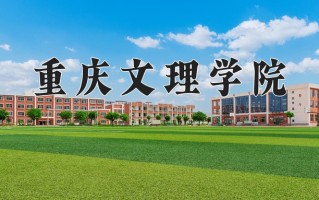 2024年重庆文理学院录取分数线，内蒙古最低409分