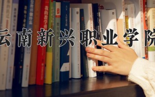 2025年云南新兴职业学院在四川计划招生人数（附学费及专业录取分)