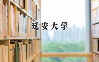 延安大学2024在山东录取分数线是多少？最低508分/最高556分