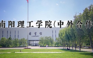 2024南阳理工学院(中外合作)录取分数线，重庆录取最低分481