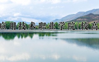 河南应用技术职业学院(较高收费)学费多少钱一年：12000-13000元/年（2025填报参考）