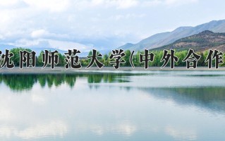 2024年沈阳师范大学(中外合作)录取分数线，内蒙古最低404分