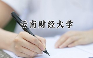 云南财经大学2024在浙江录取分数线是多少？最低515分/最高613分