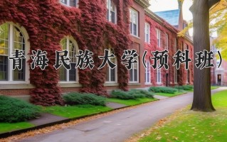2024年青海民族大学(预科班)录取分数线，青海最低350分
