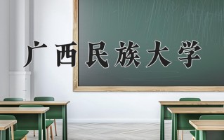 2024年广西民族大学录取分数线，新疆最低331分