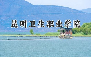昆明卫生职业学院2024在山东录取分数线是多少？最低236分/最高453分