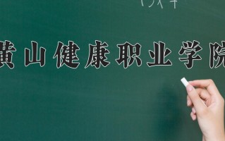 2024黄山健康职业学院录取分数线，重庆录取最低分290