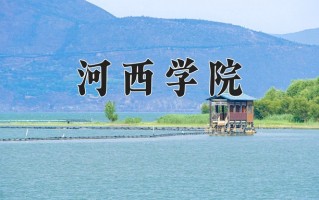 2024年河西学院录取分数线，新疆最低317分
