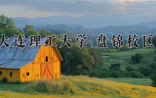 2024年大连理工大学(盘锦校区)录取分数线，宁夏最低462分