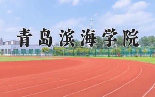 2024青岛滨海学院录取分数线：浙江最低468分