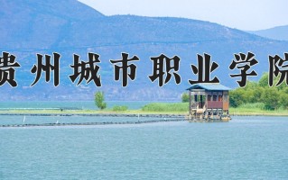 2024贵州城市职业学院录取分数线：浙江最低269分