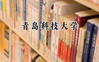 青岛科技大学2024在山东录取分数线是多少？最低452分/最高574分