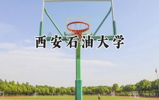 西安石油大学2024在青海录取分数线是多少？最低417分/最高453分