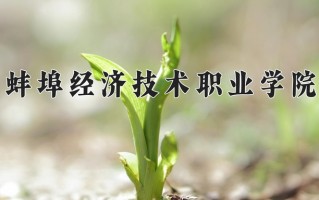 2024蚌埠经济技术职业学院录取分数线：浙江最低411分