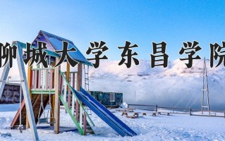 聊城大学东昌学院最厉害的专业-2024聊城大学东昌学院最好专业