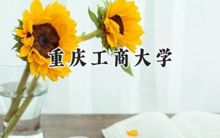 重庆工商大学2024在福建录取分数线是多少？最低467分/最高569分