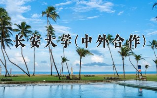 2024长安大学(中外合作)录取分数线，重庆录取最低分557
