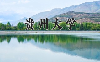 2025年贵州大学学科排名（全国第四轮评估结果)