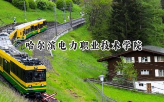 2024哈尔滨电力职业技术学院录取分数线：天津最低242分